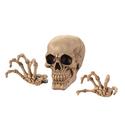 To add this item in your Shopping Cart drag and drop this picture there