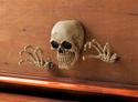 *17295V - Skeleton Head & Hands Wall Decor Set