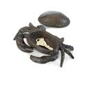 *17556V - Crab Iron Garden Hide A Key Figurine