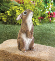 *17886V - Brown Standing Bunny Rabbit Garden Statu