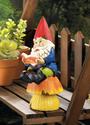 *18055V - Bookworm Gnome Garden Statue 9 1/2" Sola