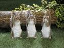 *18247V - Hear No Evil Grey Squirrel Figure Garden