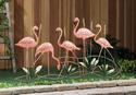 *18330V - Pink Flamingo Iron Screen Sculpture 5 Bi