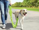 :10697V - Reflective Bright Yellow 5 Foot Dog Leas