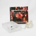 :10843V - 20 LED Copper Wire Red Fairy Lights