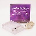 :10846V - 20 LED Copper Wire Pink Fairy Lights