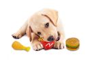 :10945V - Squeaky Fast Food Pet Toys 3 Pack
