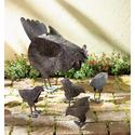 31170V - Hen Chicks 5pc Rustic Finish Metal Sculpt