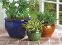 38899V - Jewel Tone Flower Design Ceramic Planters