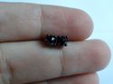 FINE AAA BLACK GOLD DIAMOND SOLITAIRE STUD EARRING