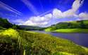category import 1206 - test only