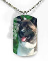 To add this item in your Shopping Cart drag and drop this picture there