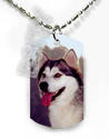 To add this item in your Shopping Cart drag and drop this picture there