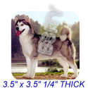 To add this item in your Shopping Cart drag and drop this picture there