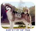 To add this item in your Shopping Cart drag and drop this picture there