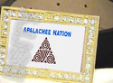 To add this item in your Shopping Cart drag and drop this picture there