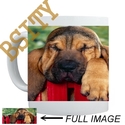 To add this item in your Shopping Cart drag and drop this picture there