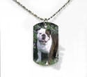 To add this item in your Shopping Cart drag and drop this picture there