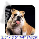 To add this item in your Shopping Cart drag and drop this picture there