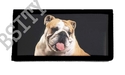 To add this item in your Shopping Cart drag and drop this picture there