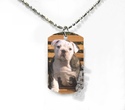 To add this item in your Shopping Cart drag and drop this picture there