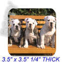 To add this item in your Shopping Cart drag and drop this picture there