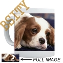 To add this item in your Shopping Cart drag and drop this picture there