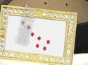 To add this item in your Shopping Cart drag and drop this picture there