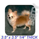 To add this item in your Shopping Cart drag and drop this picture there