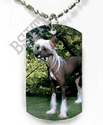 To add this item in your Shopping Cart drag and drop this picture there