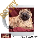 To add this item in your Shopping Cart drag and drop this picture there