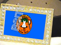 To add this item in your Shopping Cart drag and drop this picture there
