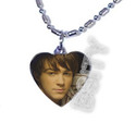 To add this item in your Shopping Cart drag and drop this picture there