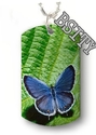 To add this item in your Shopping Cart drag and drop this picture there