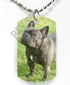 To add this item in your Shopping Cart drag and drop this picture there