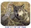 To add this item in your Shopping Cart drag and drop this picture there