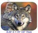 To add this item in your Shopping Cart drag and drop this picture there
