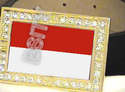 To add this item in your Shopping Cart drag and drop this picture there