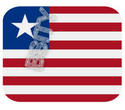To add this item in your Shopping Cart drag and drop this picture there