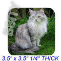 To add this item in your Shopping Cart drag and drop this picture there