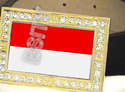 To add this item in your Shopping Cart drag and drop this picture there