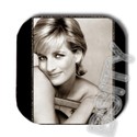 To add this item in your Shopping Cart drag and drop this picture there