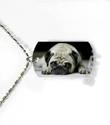 To add this item in your Shopping Cart drag and drop this picture there