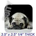 To add this item in your Shopping Cart drag and drop this picture there