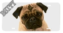 To add this item in your Shopping Cart drag and drop this picture there