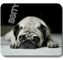 To add this item in your Shopping Cart drag and drop this picture there