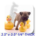 To add this item in your Shopping Cart drag and drop this picture there