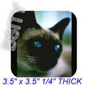 To add this item in your Shopping Cart drag and drop this picture there