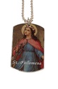 To add this item in your Shopping Cart drag and drop this picture there