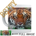 To add this item in your Shopping Cart drag and drop this picture there